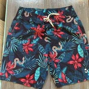 Hollisterr Swim Shorts 🩳🤙😜